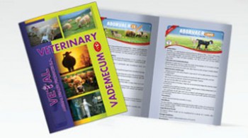 Catalogs & Brochures