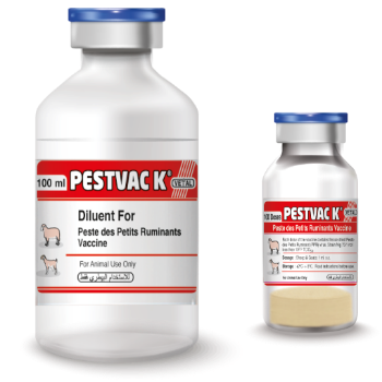 Pestvac-K (Peste de petit Ruminants Vaccine)