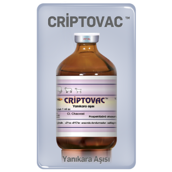 Criptovac