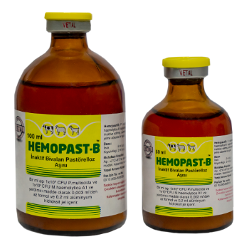 Hemopast-B